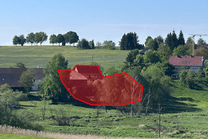 Baugrund mit Abrisshaus in Ortsrandlage, unverbaubarer Ausblick, Pferde und Biber im Garten! zimmer