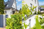 Einfamilienhaus Netphen - 479.950&euro; | Angebot:27428321