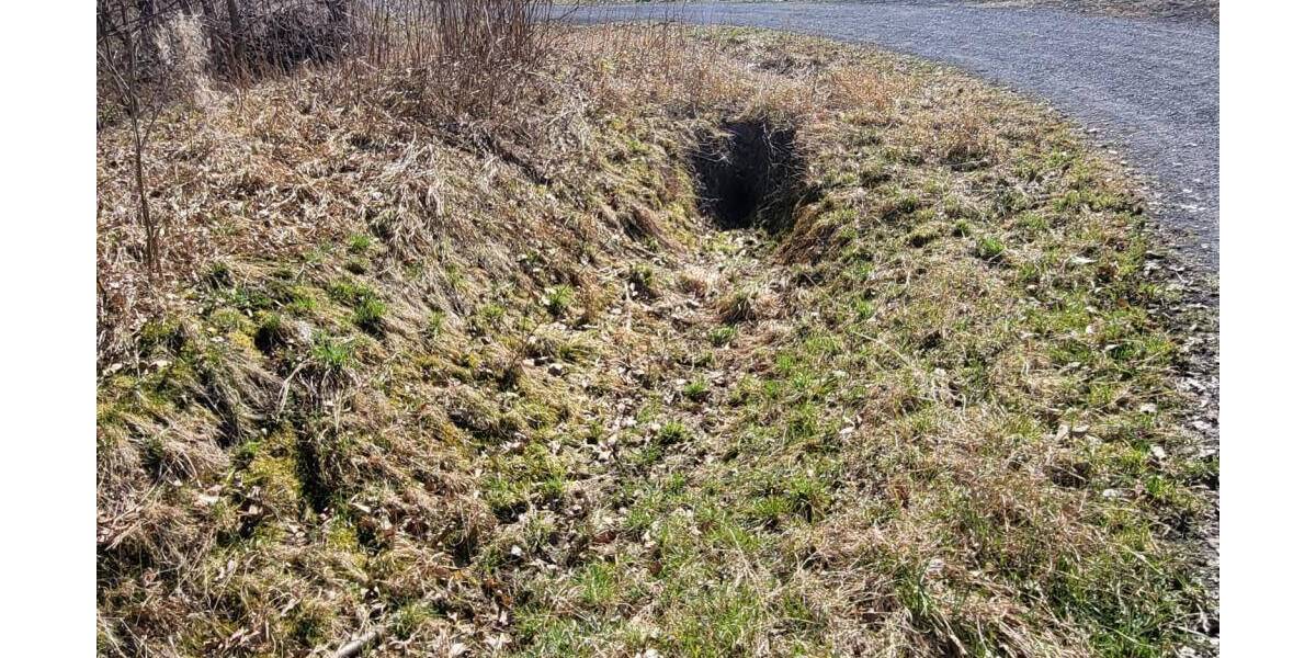 Grundstück Sonneberg Blechhammer - 24.000&euro; | Angebot:25985987