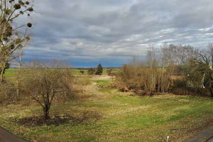 Grundstück Nordwestuckermark / Weggun Weggun - 99.900&euro; | Angebot:23505762