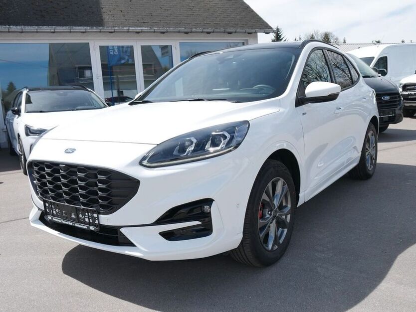 Kuga