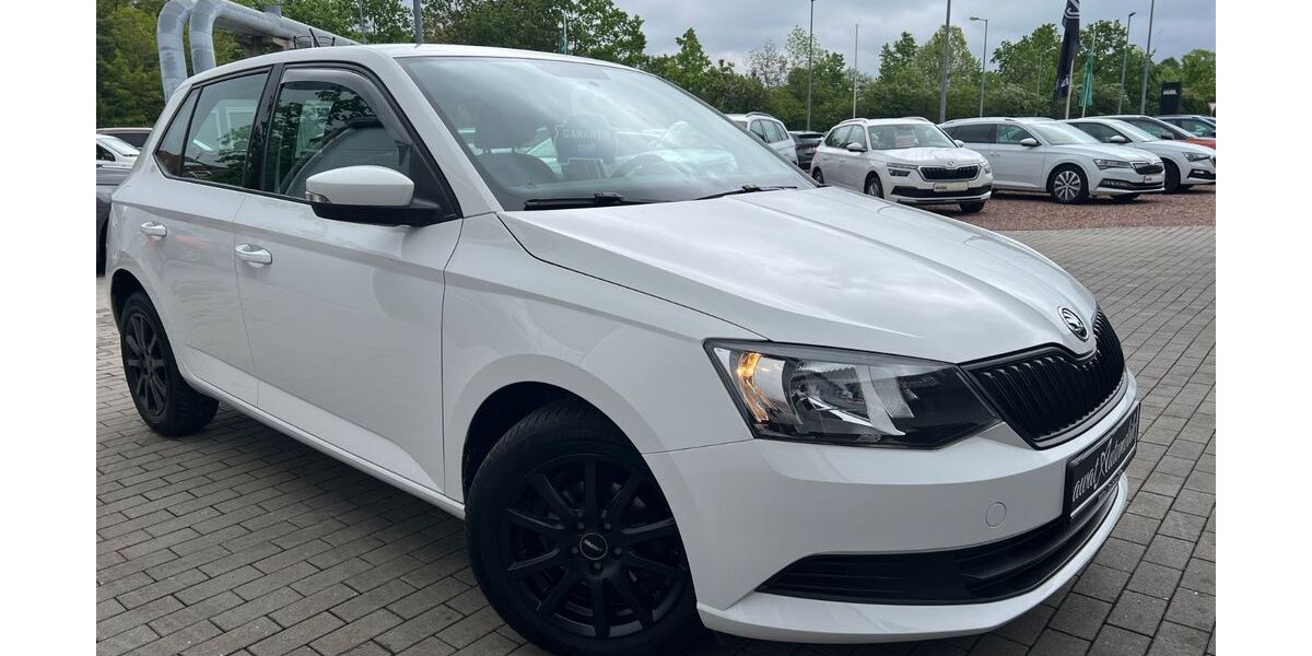 Skoda Fabia 91.904 km 8.899 &euro; Leipzig 04207