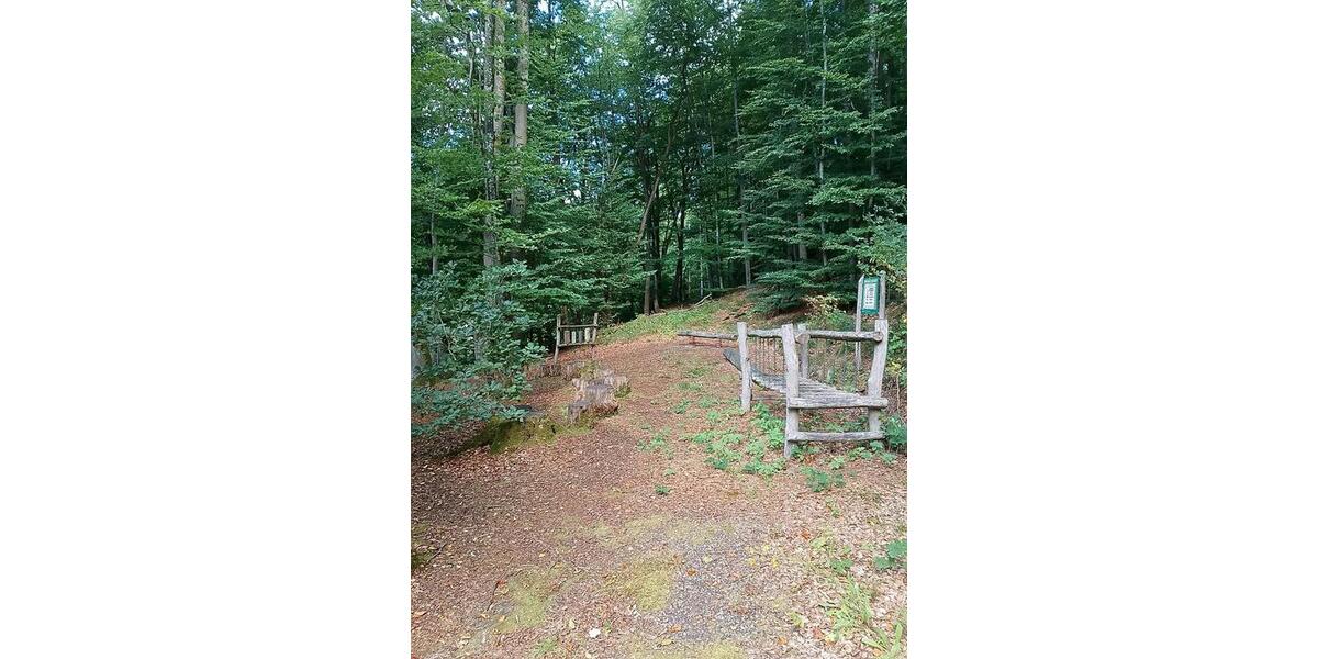 Etagenwohnung Burkardroth - 4 Zimmer, 126 m&sup2;, 60&euro; | Angebot:25636562