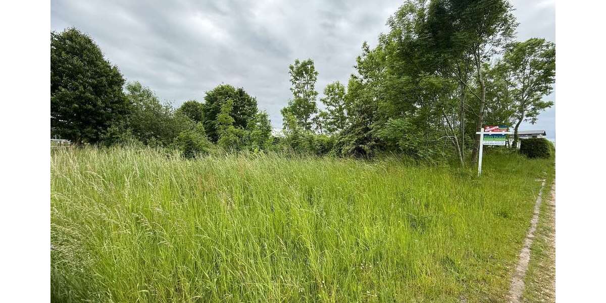 Grundstück Reddelich - 100.000&euro; | Angebot:25789726