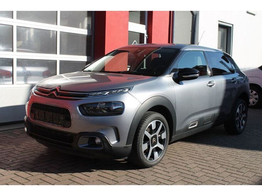 C4 Cactus