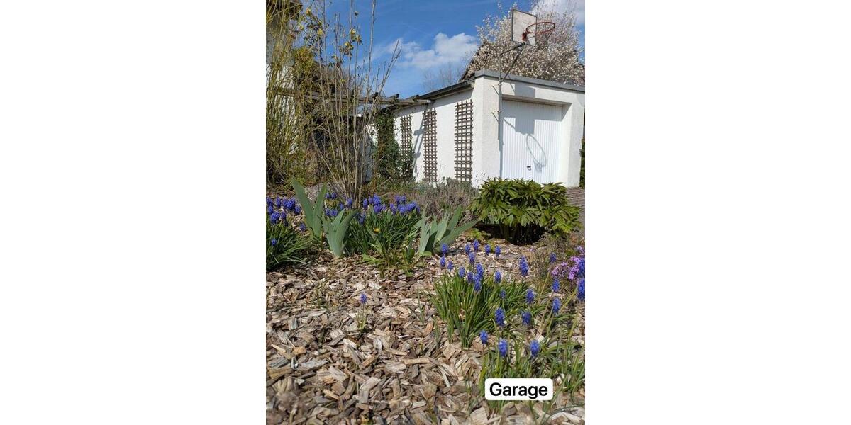Einfamilienhaus Rheinböllen - 5 Zimmer, 127 m&sup2;, 415.000&euro; | Angebot:26193935