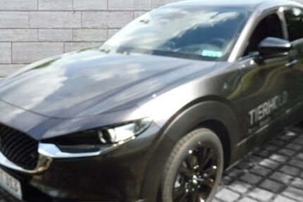 Mazda CX-30 6.789 km 27.990 &euro; Augsburg 86179