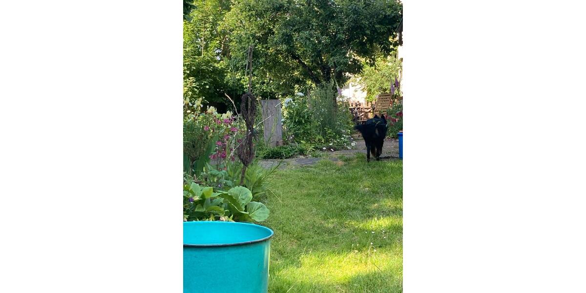 Etagenwohnung Blankenhain - 2 Zimmer, 75 m&sup2;, 400&euro; | Angebot:26022746