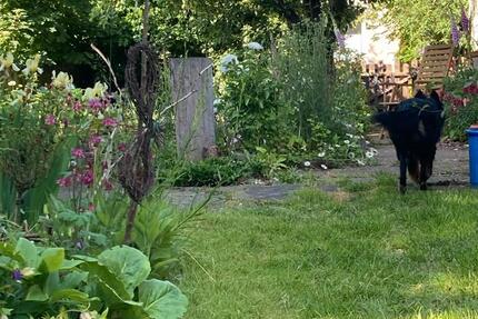 Wohnung Blankenhain - 2 Zimmer, 75 m&sup2;, 400&euro; | Angebot:26022746