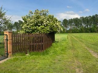 Bungalow Wesenberg - 2.5 Zimmer, 70 m&sup2;, 175.000&euro; | Angebot:26580186