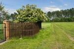 Bungalow Wesenberg - 2.5 Zimmer, 70 m&sup2;, 175.000&euro; | Angebot:26580186