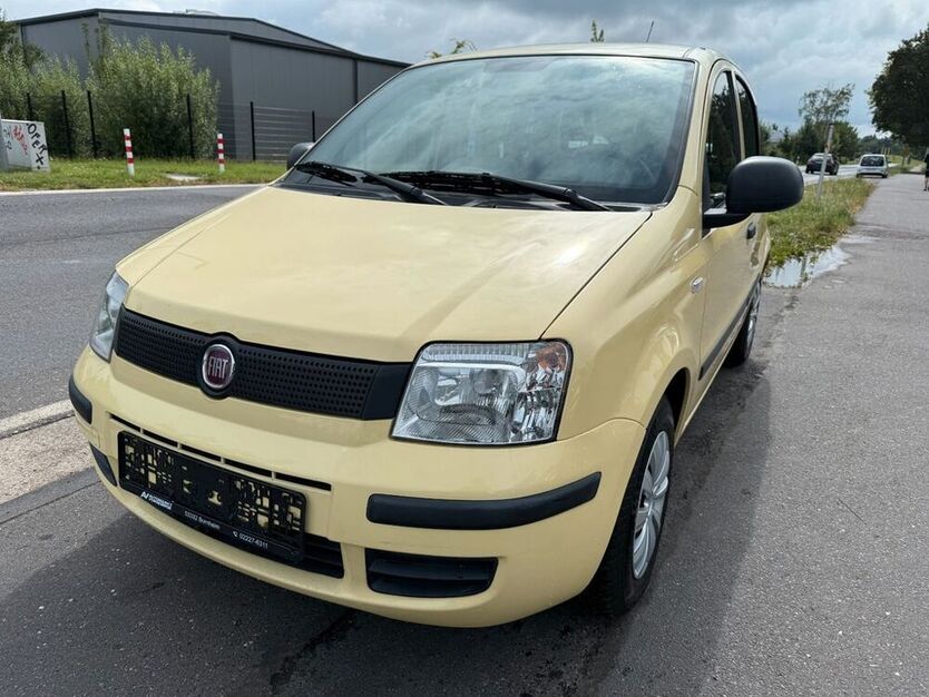 Panda