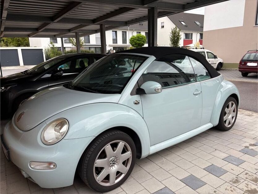 Beetle