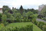 AltbauWohnung in ruhiger Zentrumslage - Gartenmitbenutzung, Stellplatz