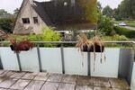 Traumhafte 4-Zimmer-Maisonette-Wohnung in Oberneuland Horn-Lehe