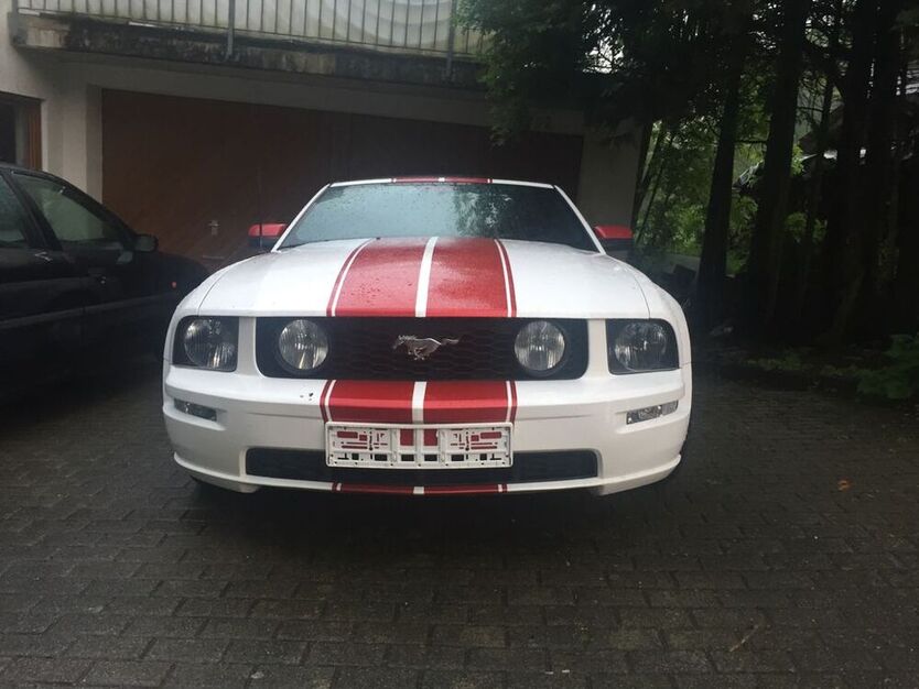 Mustang
