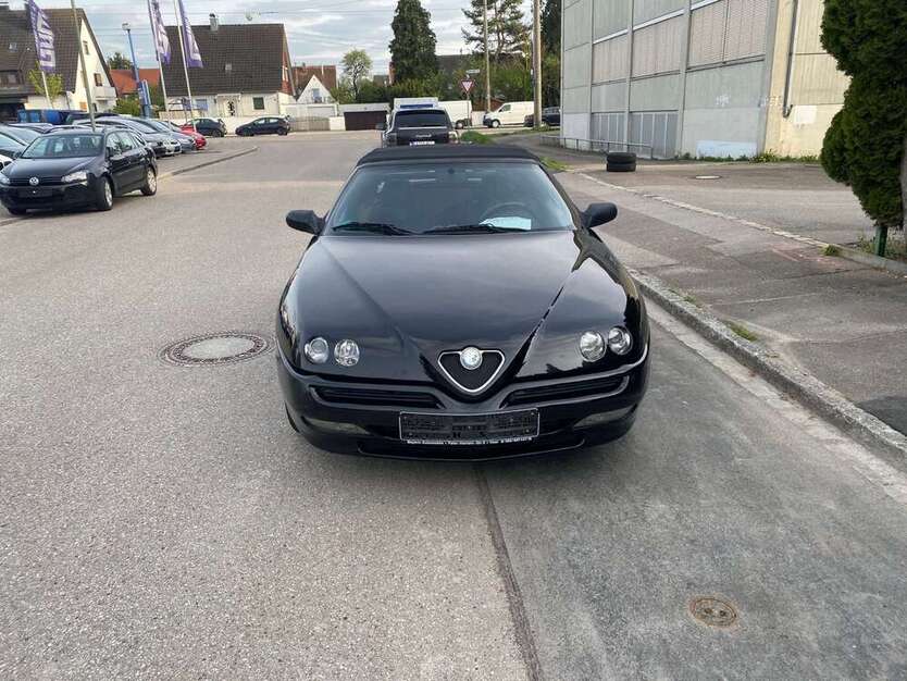 Spider