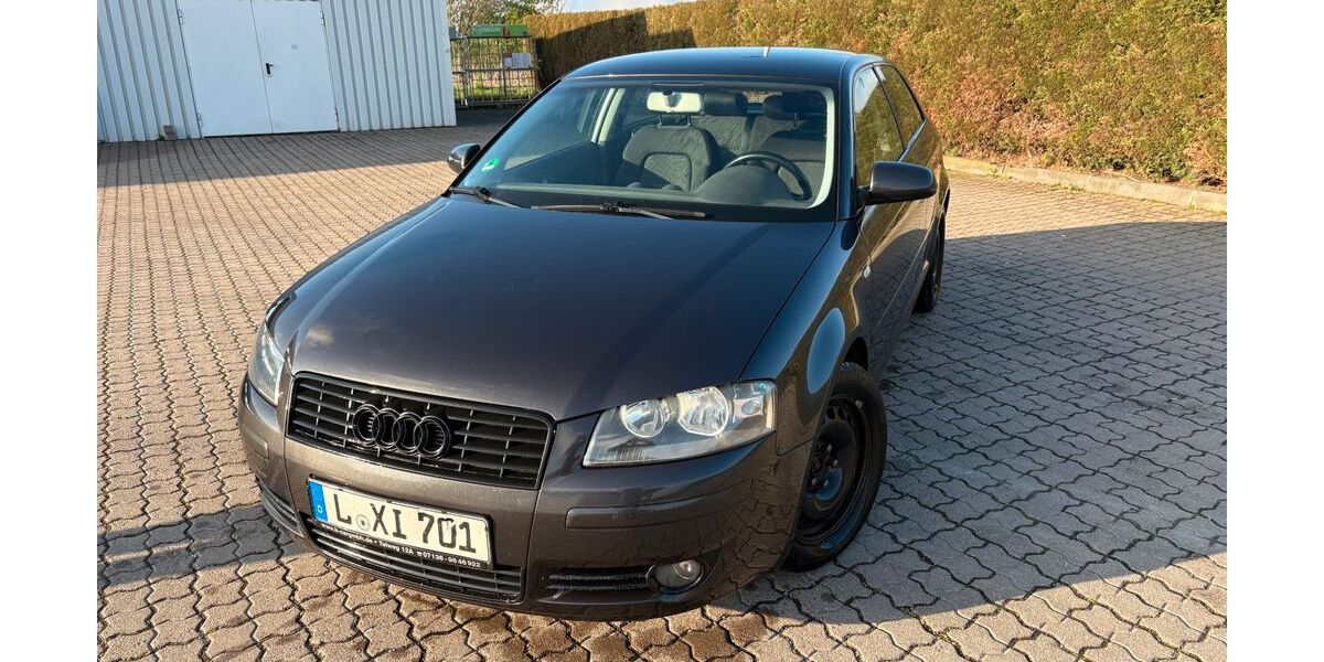 Audi A3 375.000 km 1.600 &euro; Brandis 04821