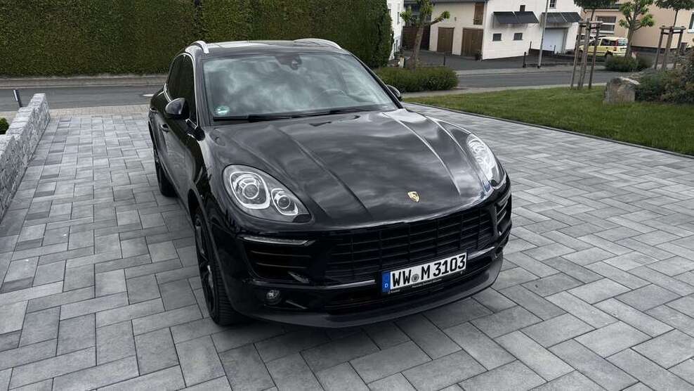 Macan