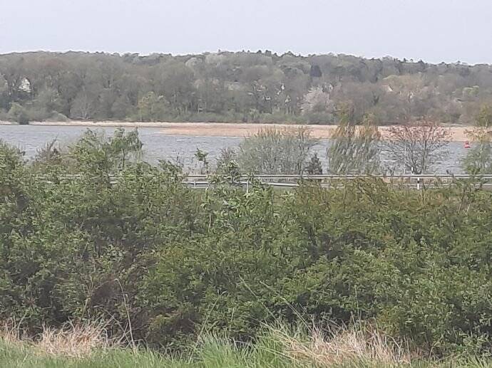 Ihr Ziel ein Haus auf Usedom ? Gerne, und wir haben das passende Grundstück. - Grundstück Wolgast | Angebot:26086139