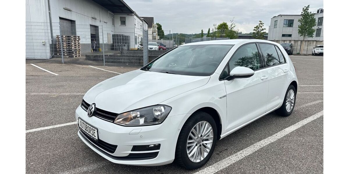 VW Golf 190.000 km 8.500 &euro; Rauenberg 69231