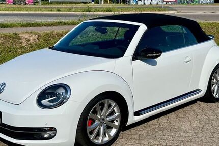 VW Beetle