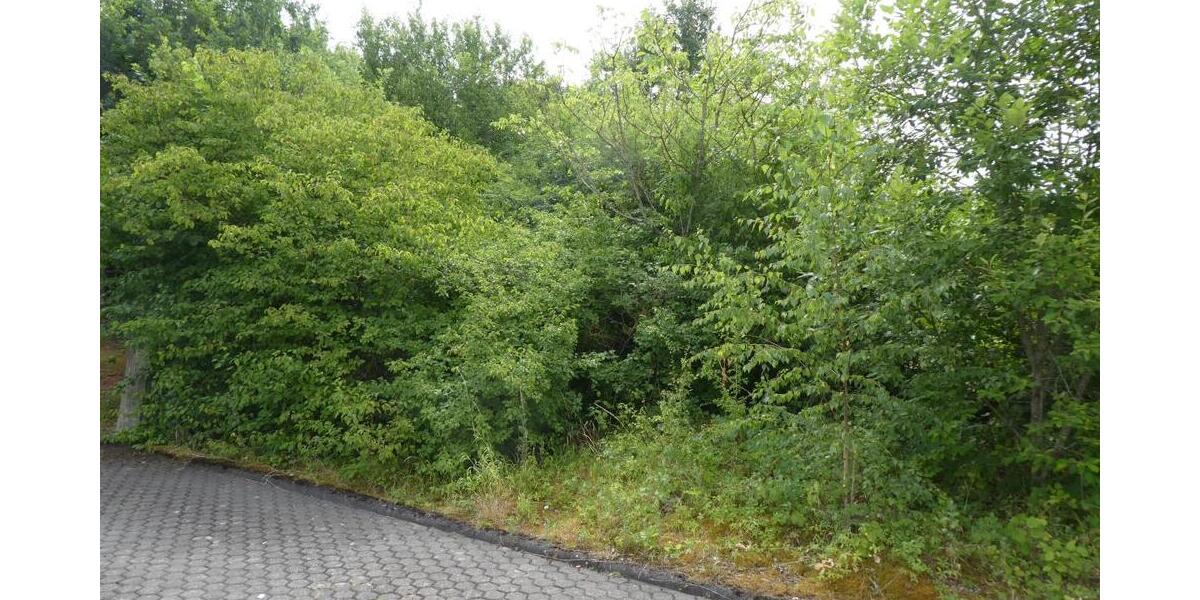 Sonniges ruhig gelegenes Baugrundstück in schöner Randlage Trier-Feyen-Grafschaft - Grundstück Trier Feyen-Weismark | Angebot:26994614