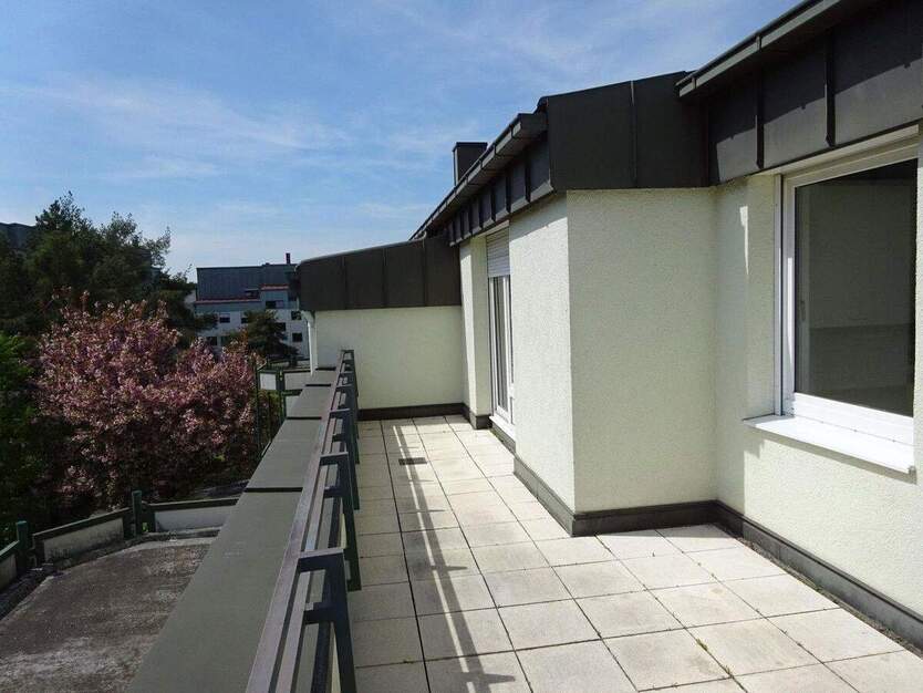 2 Zi., Dachterrassen Whg., Küche, Bad, TG, sofort frei 2 zimmer