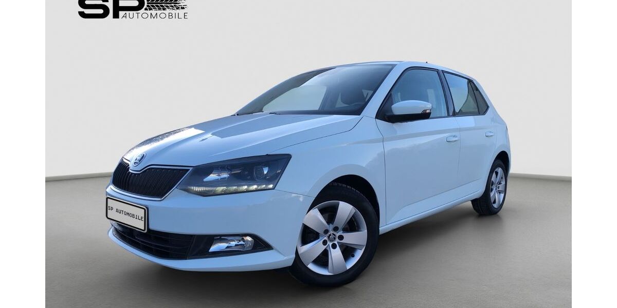 Skoda Fabia 65.500 km 8.890 &euro; Horn-Bad Meinberg 32805