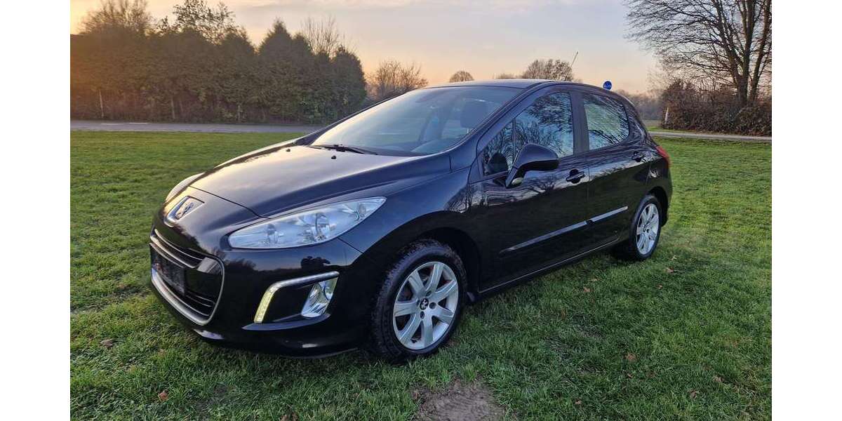 Peugeot 308 165.000 km 4.000 &euro; Ludwigshafen 67063