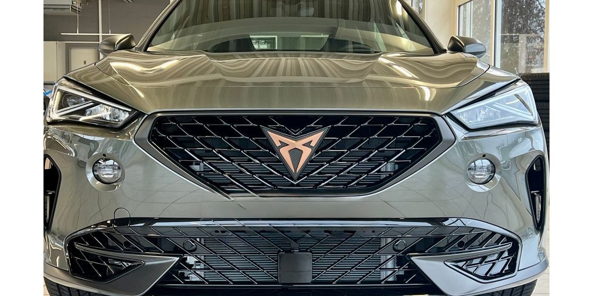 Cupra Formentor 28.000 km 39.950 &euro; Stühlingen 79780