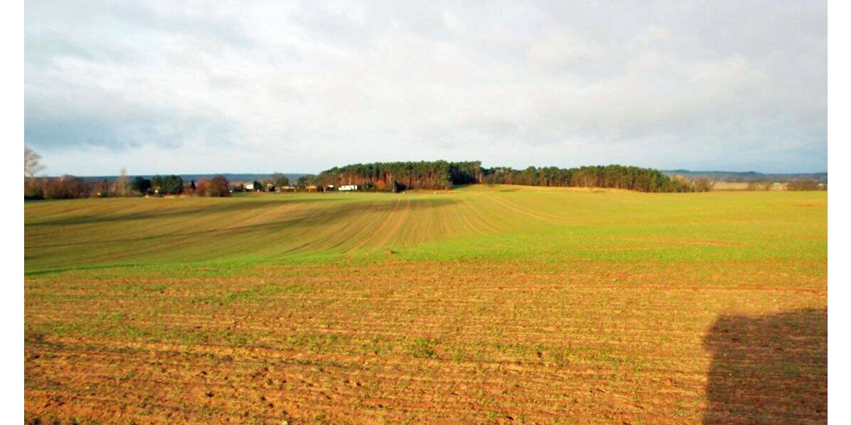 Grundstück Zirchow - 92.285&euro; | Angebot:25746422