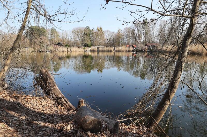 Bungalow Eberswalde Finow - 1 Zimmer, 32 m&sup2;, 98.000&euro; | Angebot:25970685