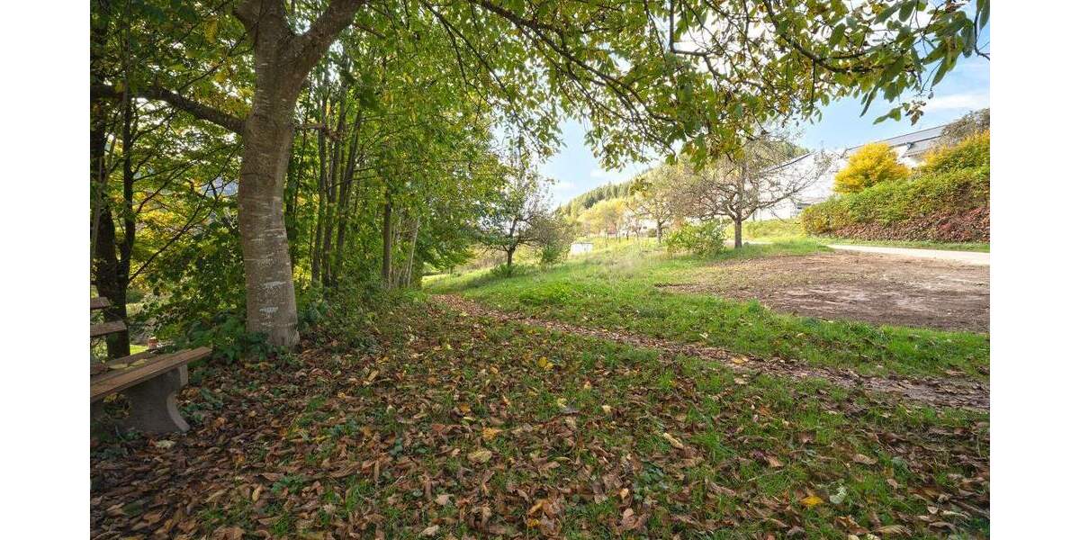 Grundstück Simonswald - 209.000&euro; | Angebot:24043507