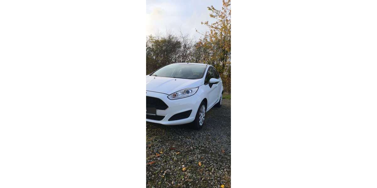 Ford Fiesta 120.000 km 6.300 &euro; Niederdürenbach 56651