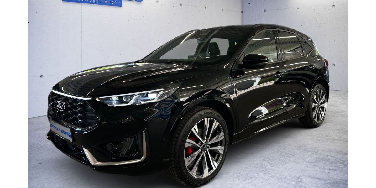 Ford Kuga 17.420 km 39.490 &euro; Freiburg 79111