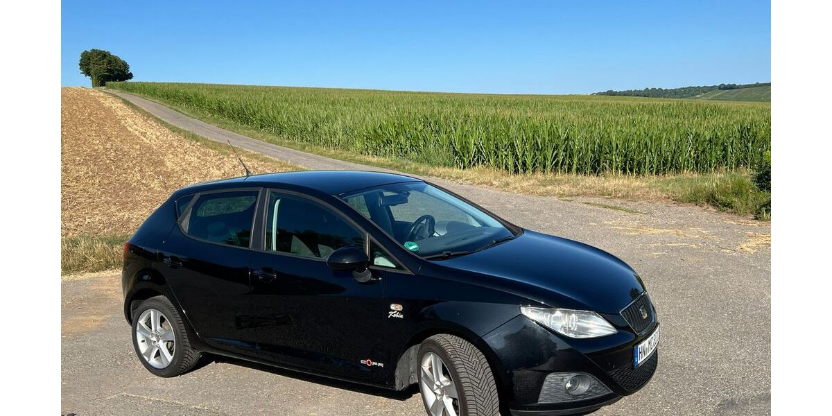 Seat Ibiza 113.000 km 4.850 &euro; Güglingen 74363