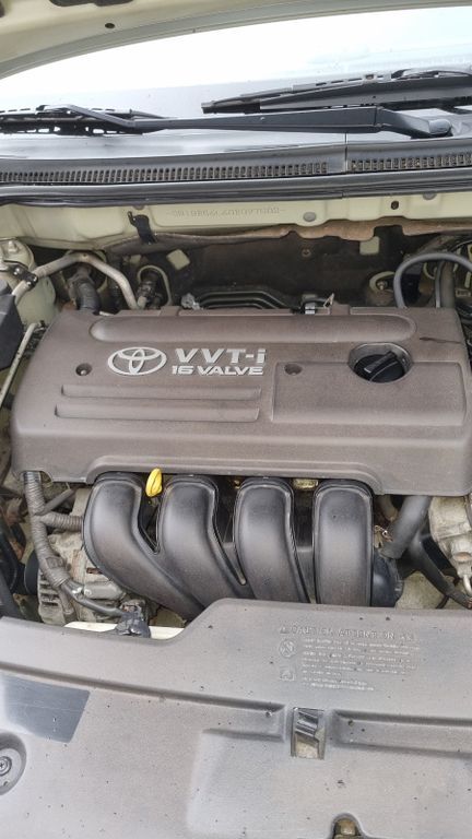 Avensis