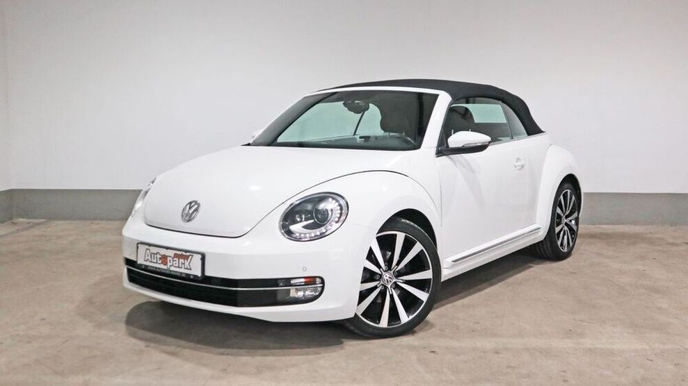 Beetle