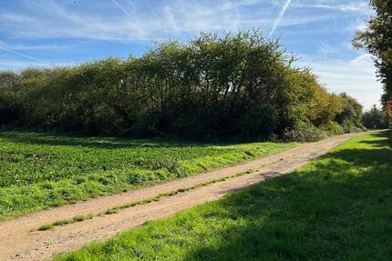 Grundstück Frankfurt am Main Nord-Ost - 300&euro; | Angebot:25354604