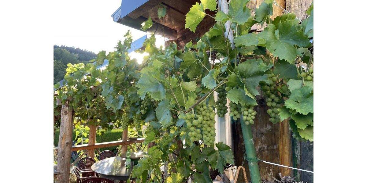 Gewerbeobjekt Gerolstein Müllenborn - 1.050.000&euro; | Angebot:25780090