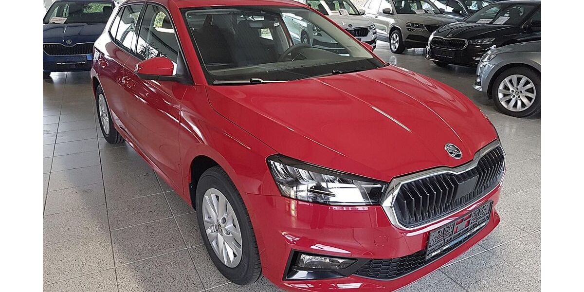 Skoda Fabia 4.480 km 20.950 &euro; Velburg 92355