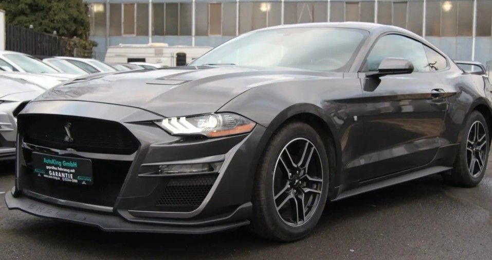 Mustang