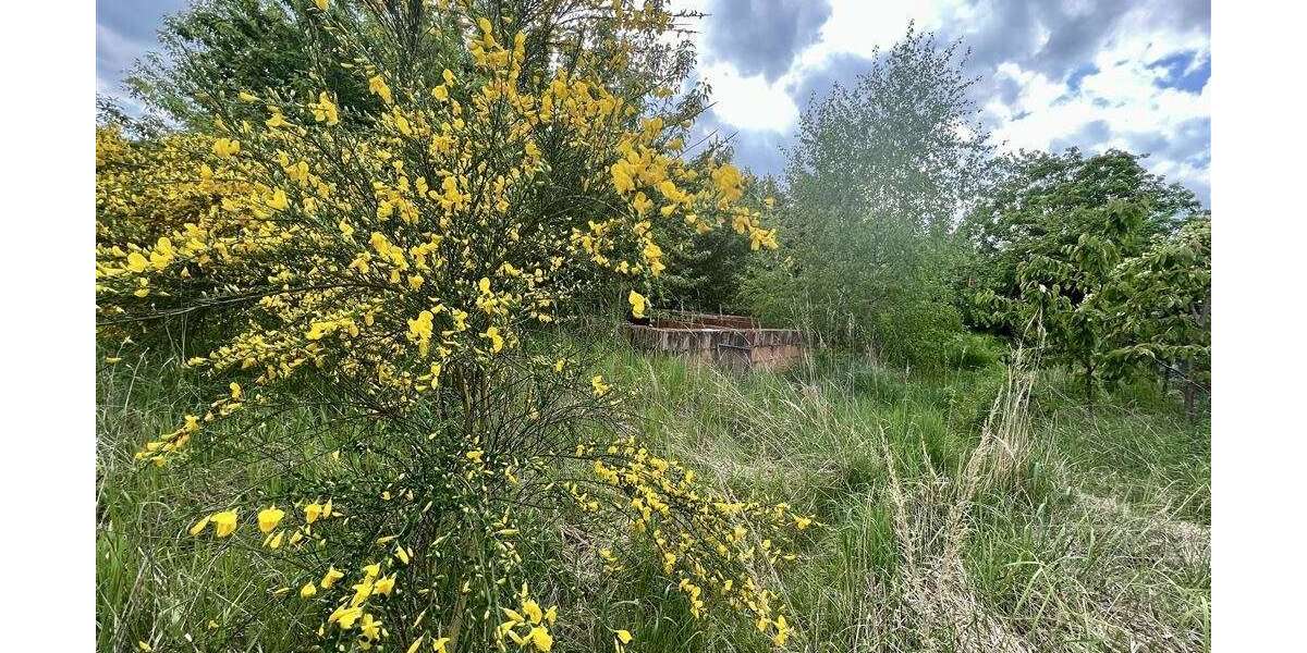 Grundstück Wischer Wischer - 79.999&euro; | Angebot:25689341