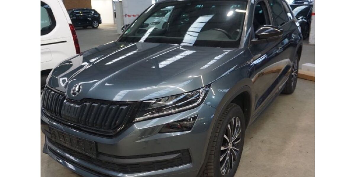 Skoda Kodiaq 194.000 km 22.372 € Heidelberg 69123