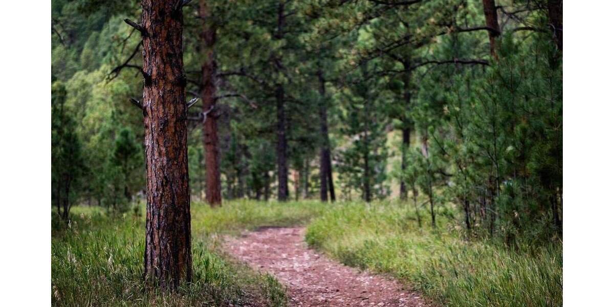 Grundstück Ibbenbüren Stadt - 39.900&euro; | Angebot:24138590