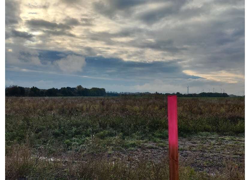 Grundstück zu verkaufen in Groß Santersleben 107.660 € 769 m²