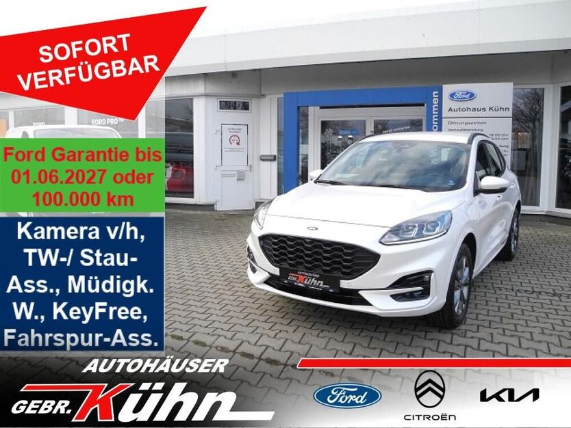 Kuga