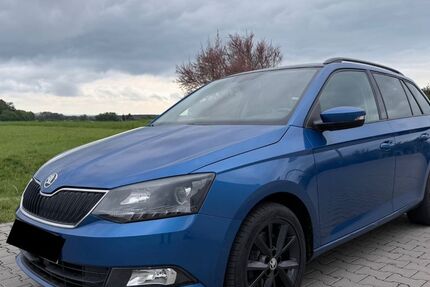 Skoda Fabia 160.000 km 7.300 &euro; Burgoberbach 91595