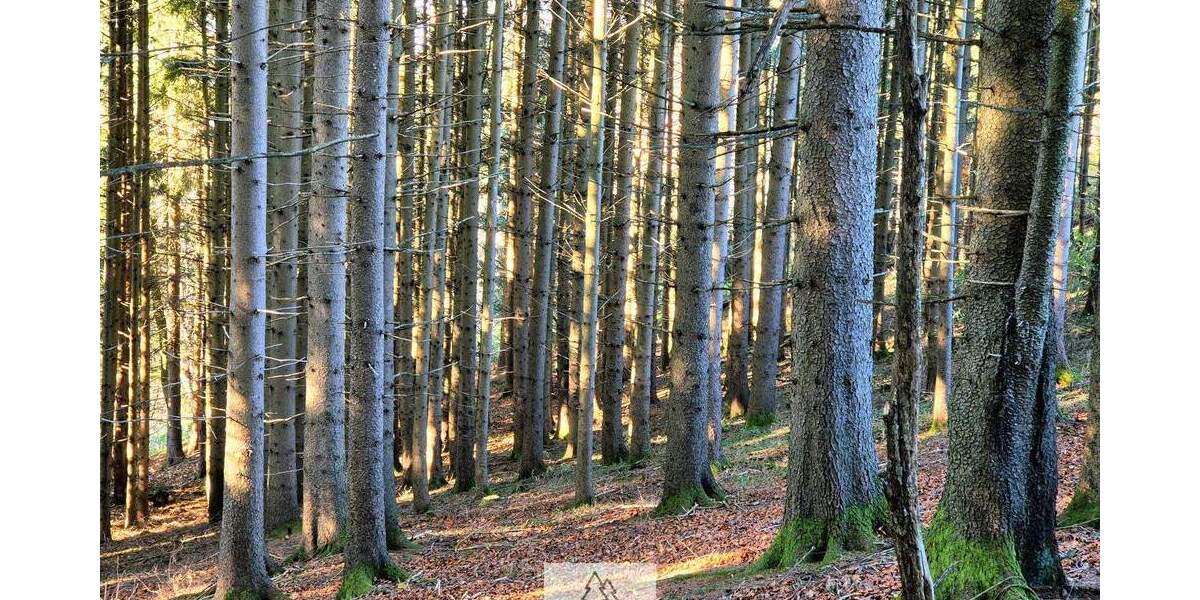 Grundstück Eggenthal Völken - 84.900&euro; | Angebot:25689866